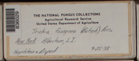 Image Associated With the Occurence